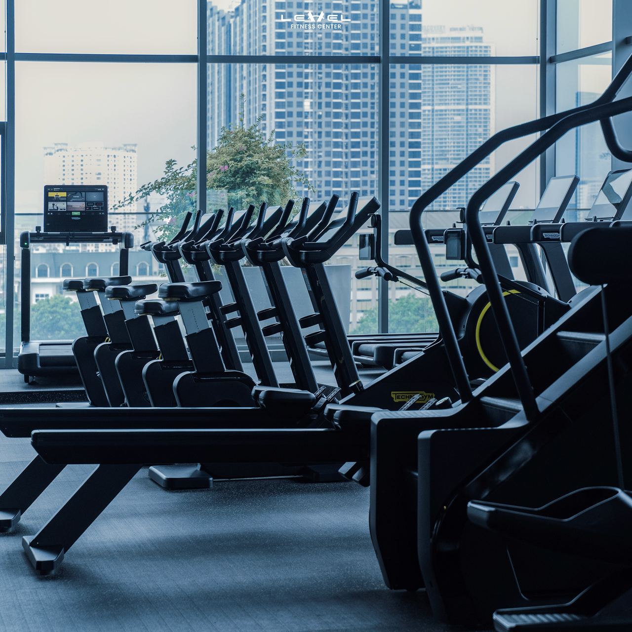 Hạ tầng Technogym cao cấp hỗ trợ tối ưu hiệu suất tập luyện.
