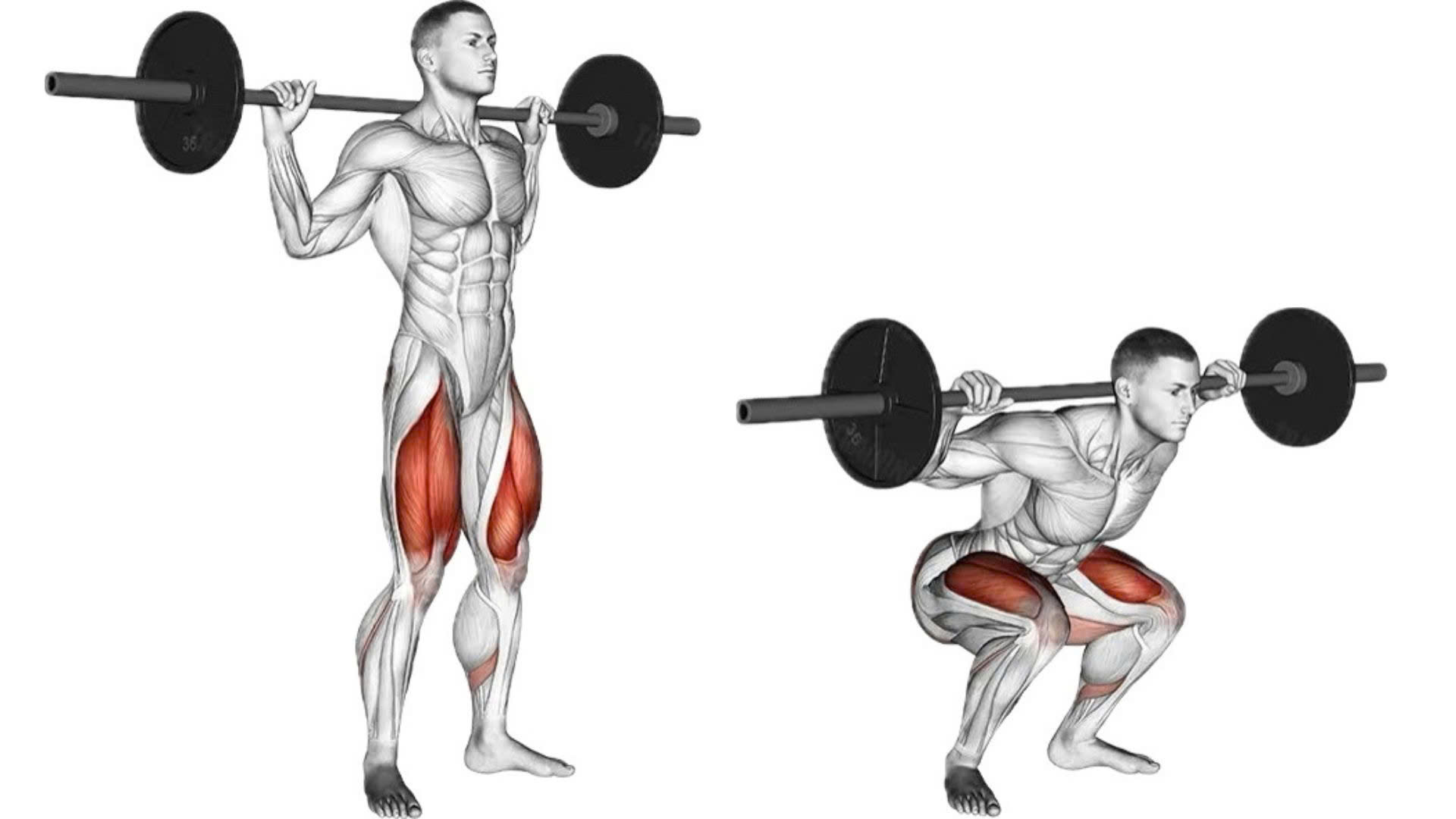  Squat đúng chuẩn tối ưu hóa trao đổi chất toàn thân.