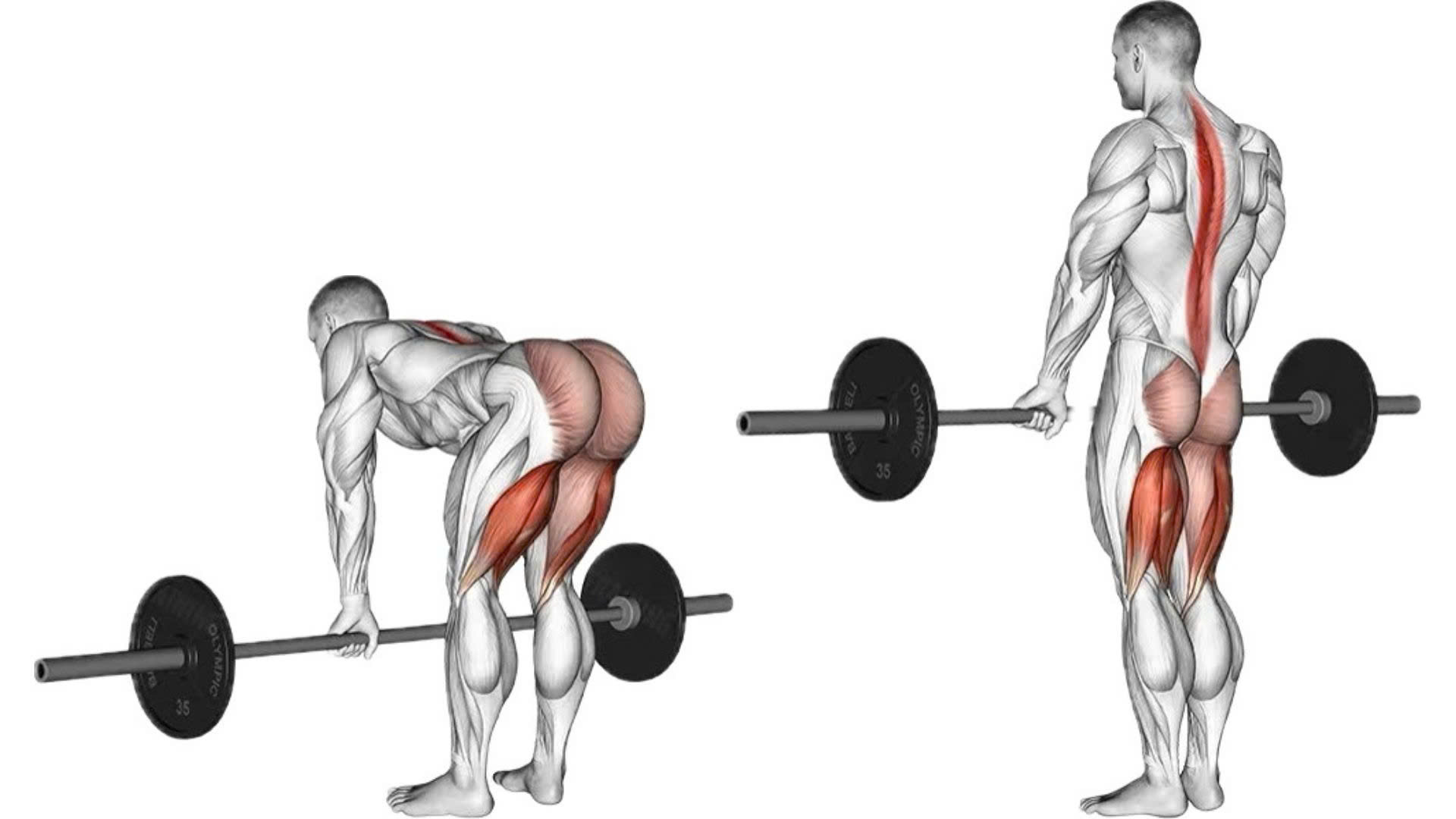 Deadlift thúc đẩy hiệu ứng tiêu thụ Oxy dư thừa.