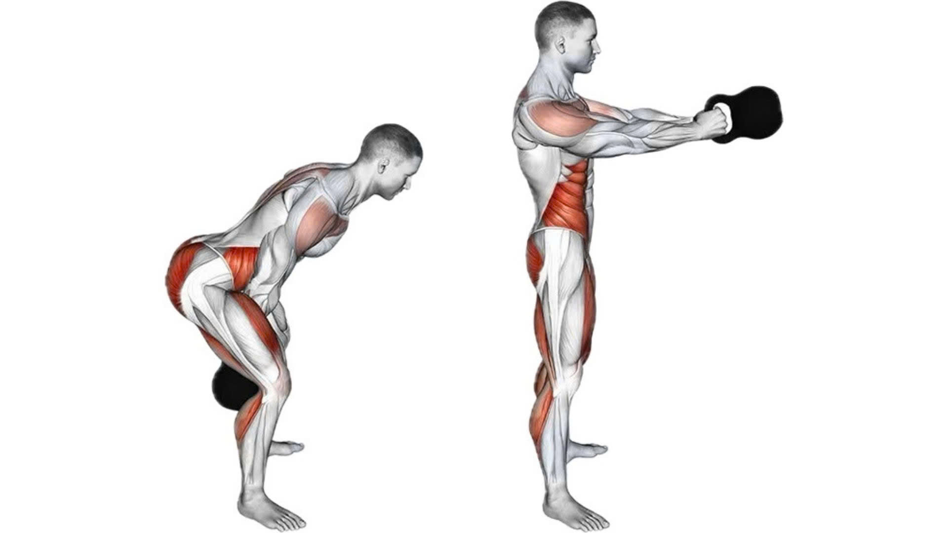 Vung tạ ấm đẩy nhịp tim vào ngưỡng tiêu thụ mỡ.